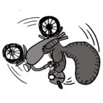 flip_bike_squirrel_72