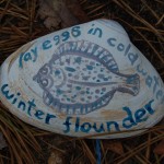 Winter Flounder lay eggs in cold water: March/April