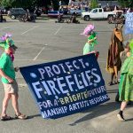 Fireflies_banner